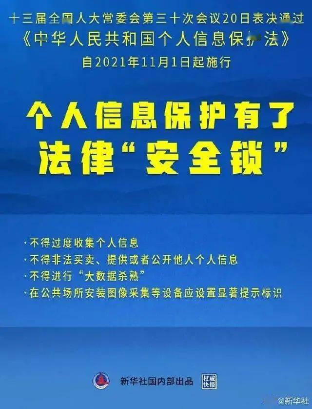  新澳门天天免费精准,精选解析、解释与落实