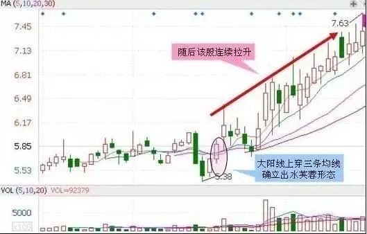  2025年新澳今晚资料和新澳门天天免费精准和警惕虚假宣传-全面释义、专家解释与落实